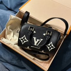 Louis Vuitton M81456 Nano Speedy photo review